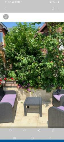 Maison Trouvillaise Baln�o Piscine
