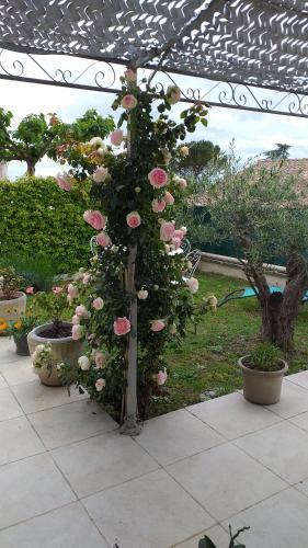 Le Pr� Aux Cigales