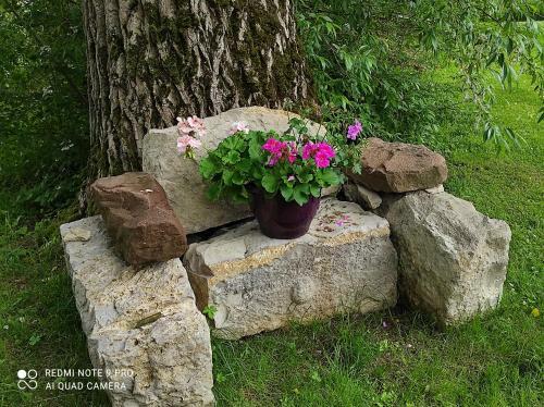 Apartamento Gite De Peupliers