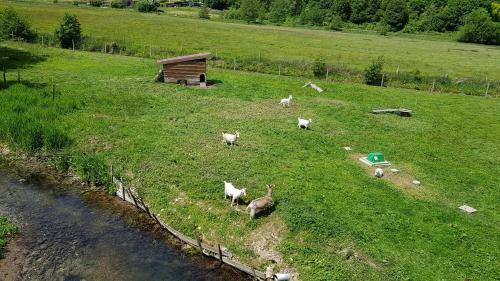 Bed & Breakfast L Ancien Moulin A Grains