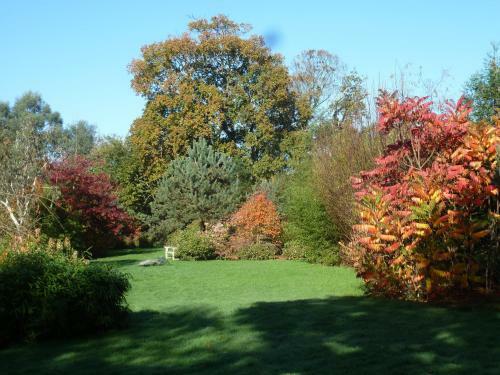 Le Cottage De Savigny