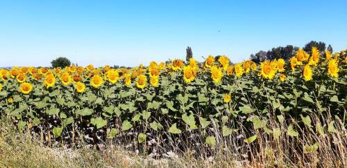 L'instant Provence