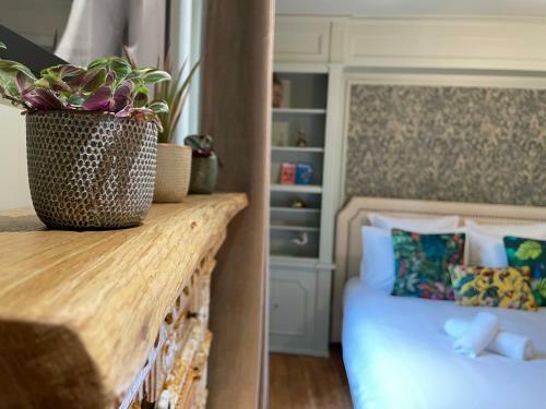 Hostal Studio Centre-ville Viviane