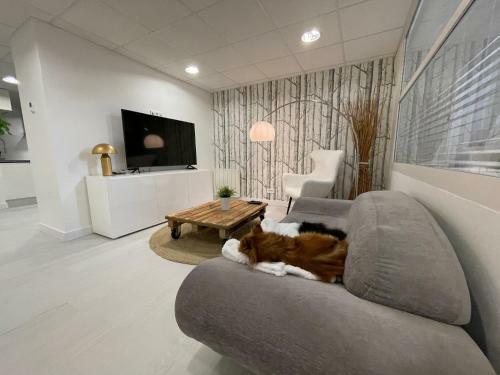 Apartamento L'eden
