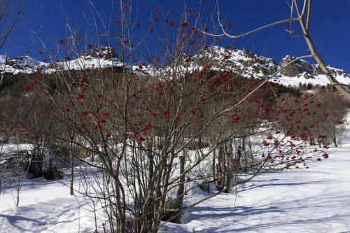 Rustic & A Chalet 'le Sert Du Grey - Vaujany