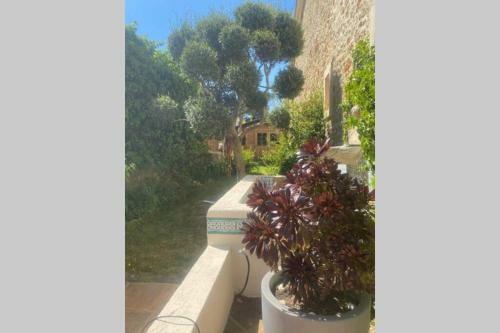 Magnificent Villa Vendargues