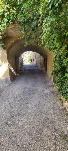 La Salamandre