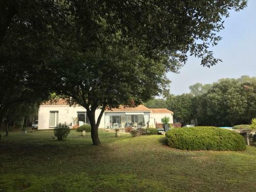 B&B La Maison Du Petit Bois