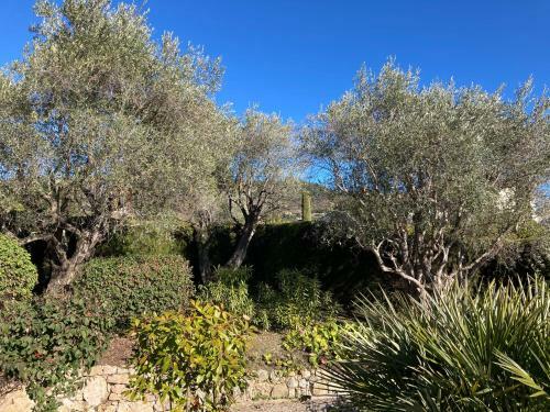 Beautiful Villa Vence Provence