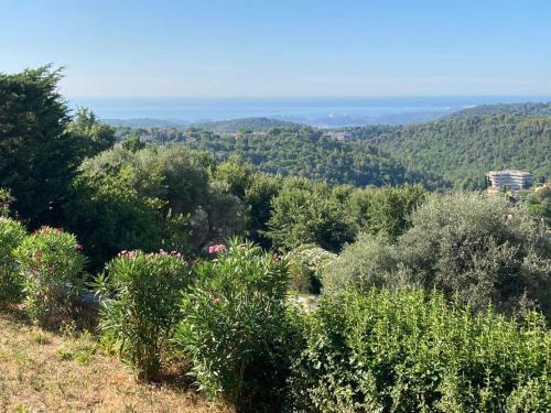 Appartement Dans Villa Mimosa , Vue Mer