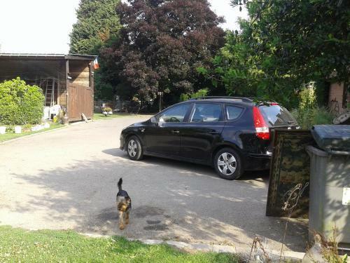 Bed & Breakfast Chambre D'h�tes �levage' Chemin Noir