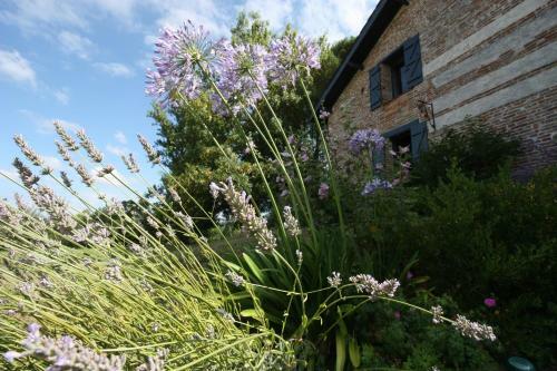 Bed & Breakfast Chambre D'hotes de Jacobiel