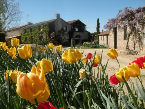 Bed & Breakfast La Raymondiere