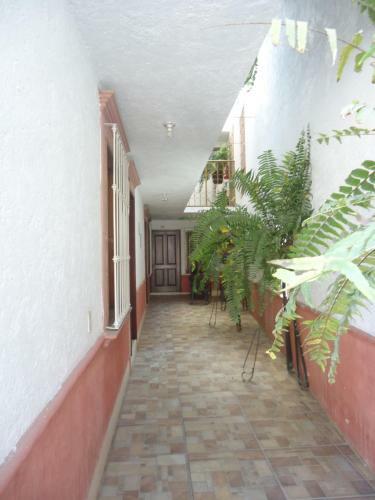 Hotel San Isidro