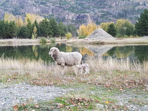 Lodge Caba�as Y Hosteria Aldea Los Huemules