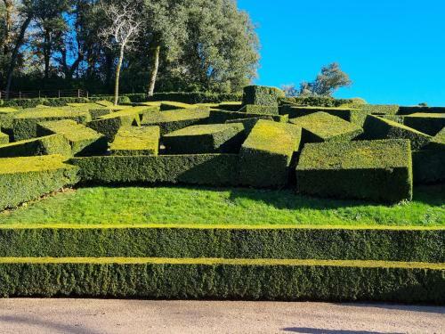 Bed & Breakfast Les Chenes Rouges