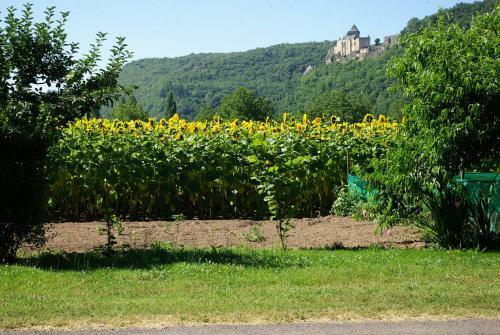 Bed & Breakfast Chez Gallon Chambres D?h�tes