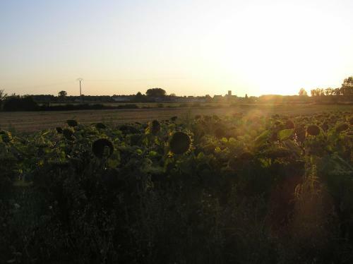 Bed & Breakfast Le Renard Chambres D'hotes