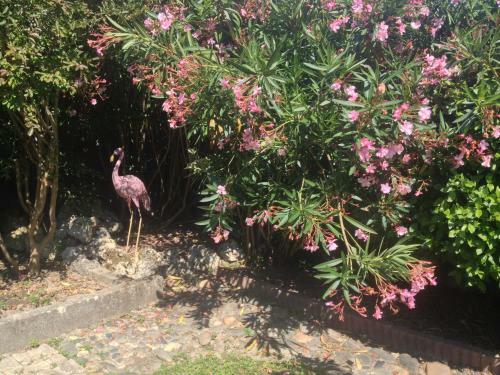 Villa Vianne B&B