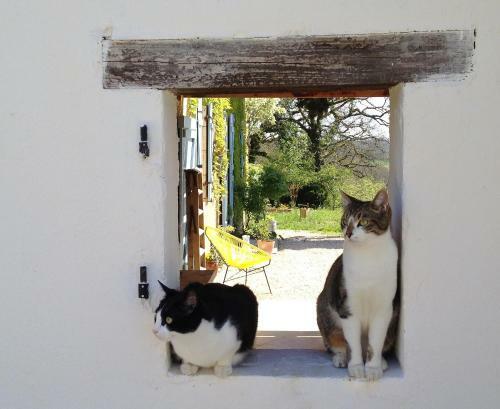 Bed & Breakfast Les Didascalies