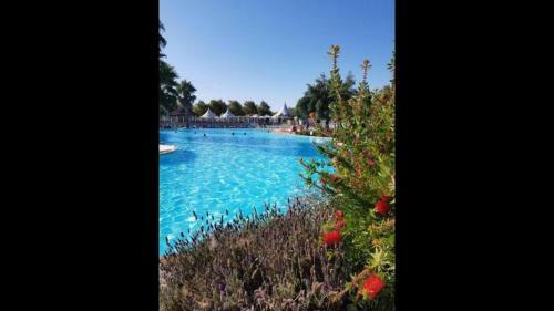 Mobile Home 66475 Tybreizh Holidays At La Carabasse