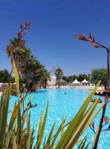 Mobile Home 66475 Tybreizh Holidays At La Carabasse