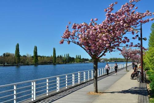 Apartamento Lady Constantine/plan D'eau