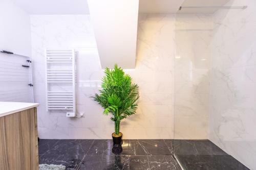 Apartamentos Spacieux Chic Confort Parcs Et Thermes