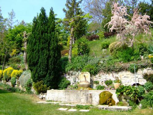 Domaine Du Rocher St-loup