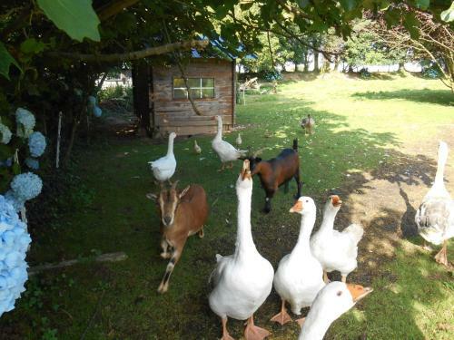 Agroturismo Logis Rural
