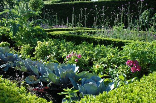 Bed & Breakfast Le Chat Courant