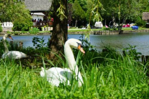 Le Domaine Du Lac