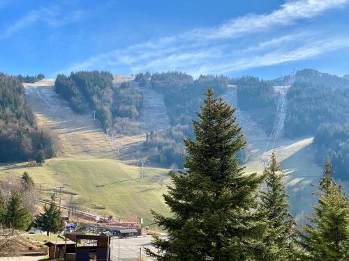 Apartamento Studio Cosy Au Pied Des Pistes