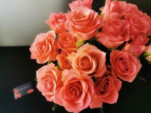 Apartamento Love Room Perpignan