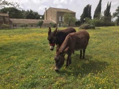 Domaine Les Roches
