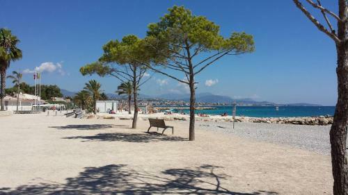 Apartamento La Studette Marina 06