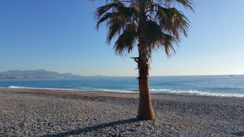 R�sidence Cap Azur Maison N� 26