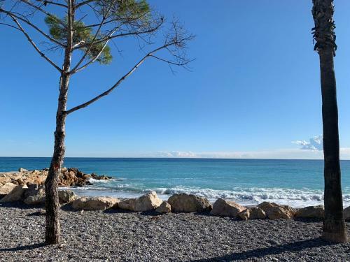 Apartment Sea Side Rooftop Swimming Pool Between Antibes And Nice