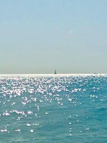 Apartamento Fleur D'azur 100 M de La Plage