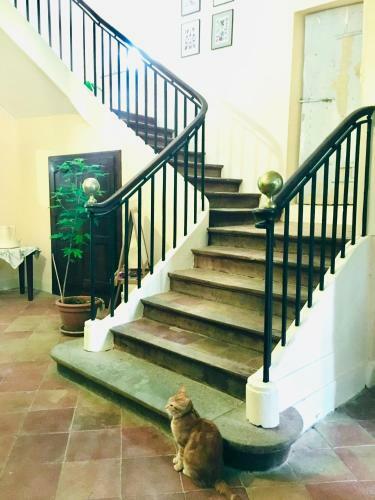 Bed & Breakfast Le Domaine de Villespy