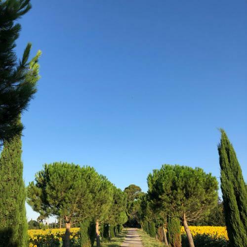 Apartamento Domaine de La For�ate