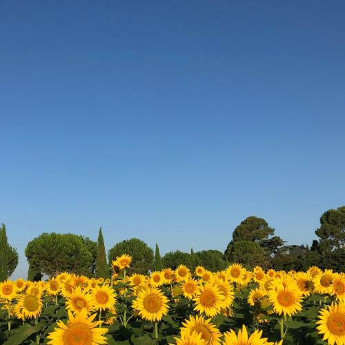 Apartamento Domaine de La For�ate