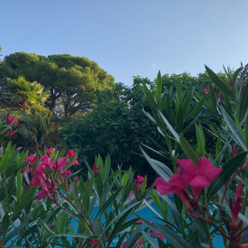 Apartamento Domaine de La For�ate