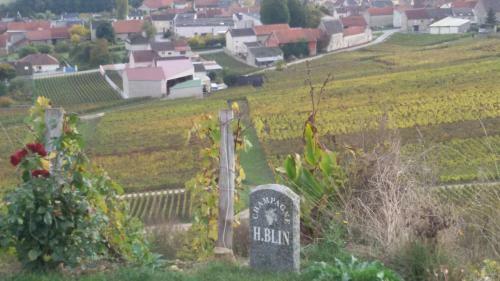 Bed & Breakfast L'escale Fleurie