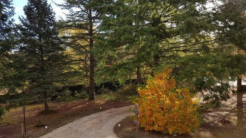 Bed & Breakfast Le Clos Des �cureuils