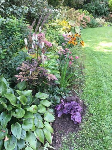 Bed & Breakfast La Haie � Cerf