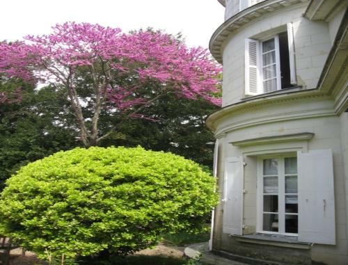 Bed & Breakfast Le Belv�d�re