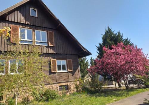 Apartamento � La Vieille Fa�ence