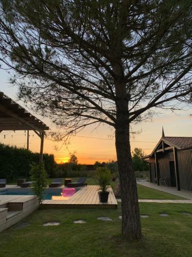 Bed & Breakfast Vinha Lodge