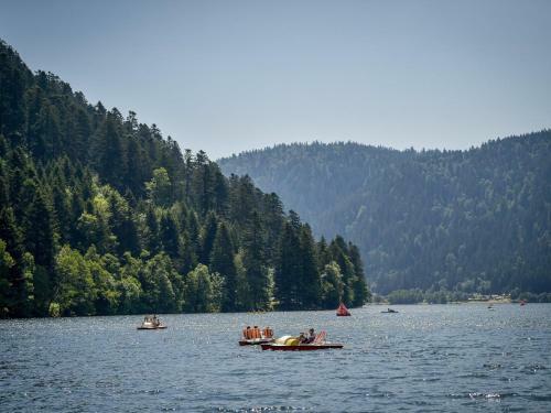 Apartamento Appt 3* Le Haut Des Lacs